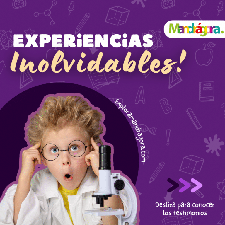 528AFD29-A80E-47E2-805D-FE232A79301A-768x768