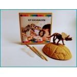 Kit excavación fósil